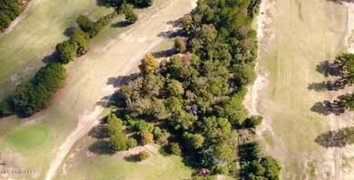 dji_fly_20251105_112436_64_1762363505698