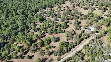 TBD Copeland Hill Rd, Smithville, TX 78957 - photo 4