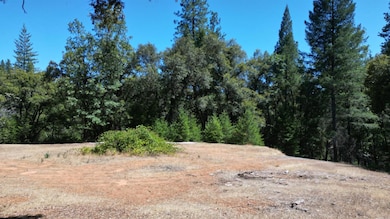12258 Pine Cone Cir, Grass Valley, CA 95945 - photo 2