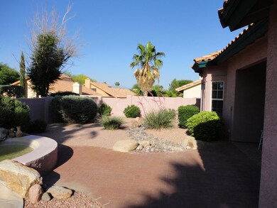 BACKYARD #3