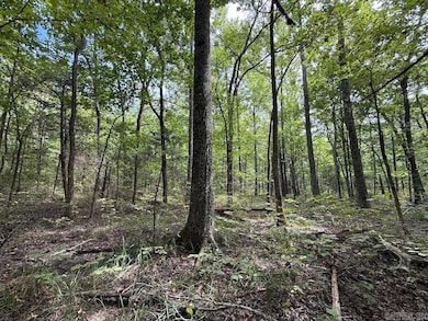 Tract 3/4 Terrapin Rd S, Harrison, AR 72601 - photo 2