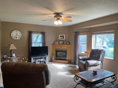 313 Alex Moore St, Sauk Centre, MN 56378 - photo 7