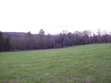 0 Bidwell Hill Rd unit GSB14864, Lake Ariel, PA 18436 - photo 2