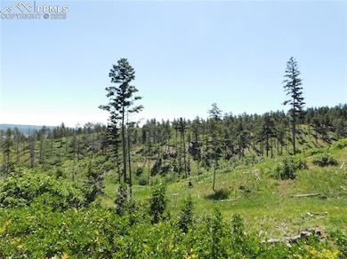 8249 Yuma Cir, Larkspur, CO 80118 - photo 2