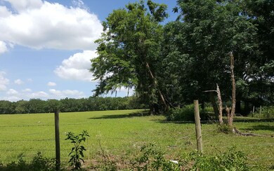 TBD Paul Pearce Ln, Lake City, FL 32024 - photo 4