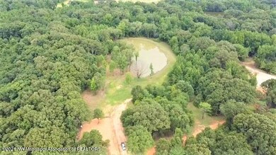Bolin Rd - Aerial 4