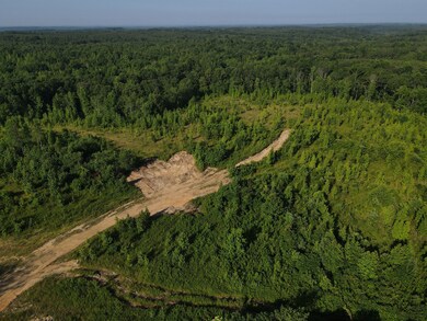 0 Old Highway 18 unit RTC2558184, Stewart, TN 37175 - photo 2