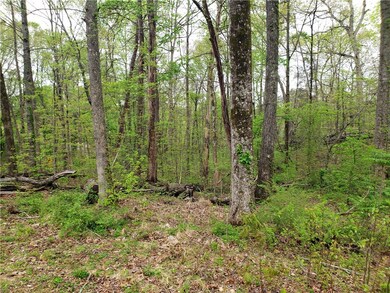 00 Forest Acres Cir Evergreen Dr Dr, Walhalla, SC 29691 - photo 3