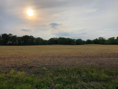 IMG_2540 (1)