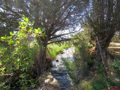 Highline irrigation ditch
