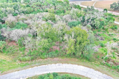 173 Carousel Ave, Fort Denaud, FL 33935 - photo 7