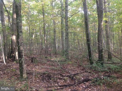 8 Hemlock Ln, Moorefield, WV 26836 - photo 4