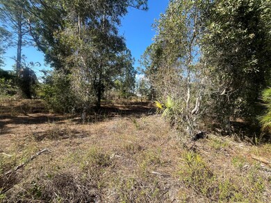 1258 Bowles Ave, Lehigh Acres, FL 33913 - photo 2