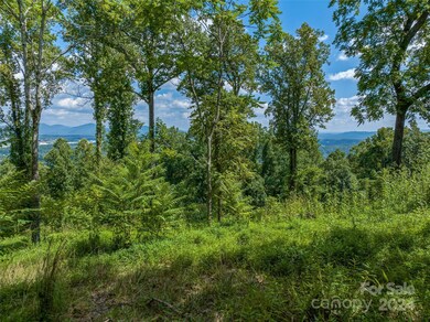 54 Split Rock Trail, Arden, NC 28704 - photo 7