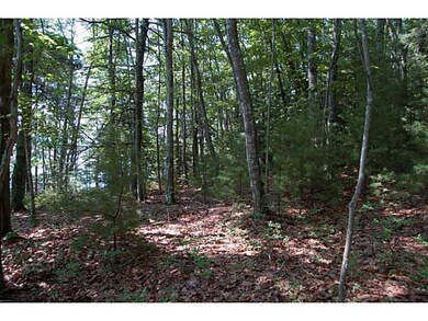 Land/Lot.