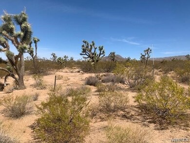 View of nature
