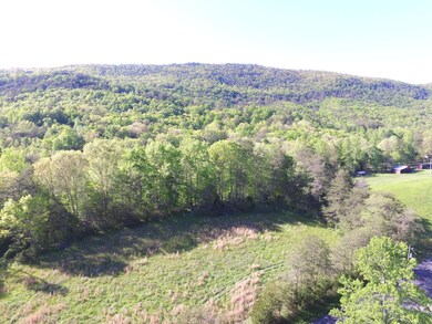 0 Highland Springs Rd unit 1115549, Blaine, TN 37709 - photo 7