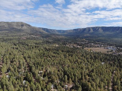 3586 N Pine View Dr, Pine, AZ 85544 - photo 4