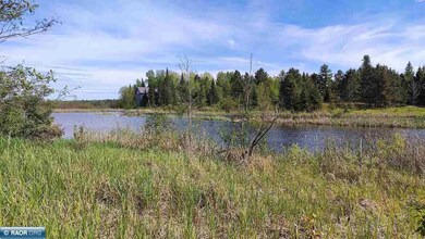 80048 Tamarack, Tower, MN 55790 - photo 5