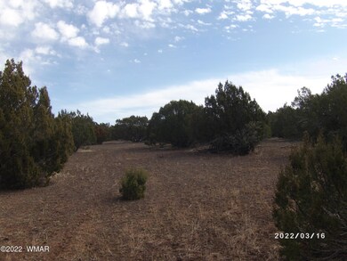 land-for-sale-white-mountain-lake-az