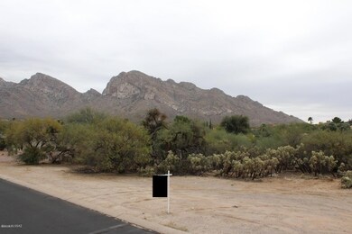 115 W Greenock Dr unit 204, Oro Valley, AZ 85737 - photo 3