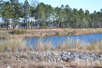 1247 Lillibridge Dr, Leland, NC 28451 - photo 2