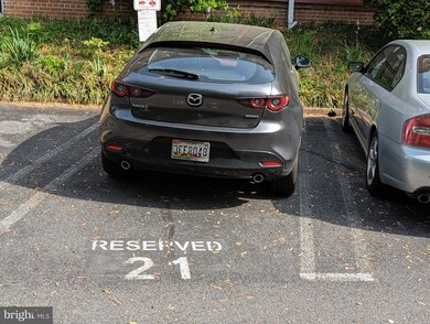 2716 Ordway St NW unit 1, Washington, DC 20008 - photo 4