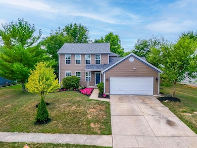 3033 Elspeth Ct (Drone)-2