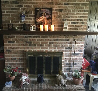 4335 Applewood Ln, Matteson, IL 60443 - photo 5