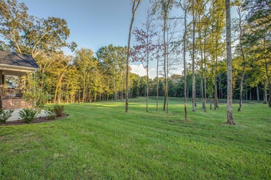 Large mature trees in this backyard.
