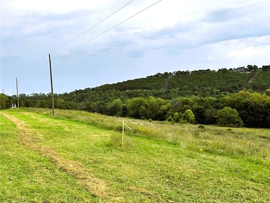 100 River Run Rd, Eureka Springs, AR 72632 - photo 5