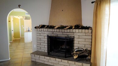 Family Room - Fireplace