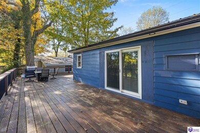 646 Rough River Resort Rd, McDaniels, KY 40152 - photo 7