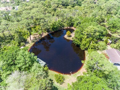 DJI_0295