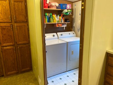 IMG_0339