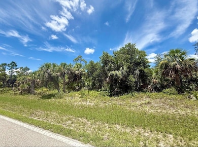 3287 Como St, Point Charlotte, FL 33948 - photo 2