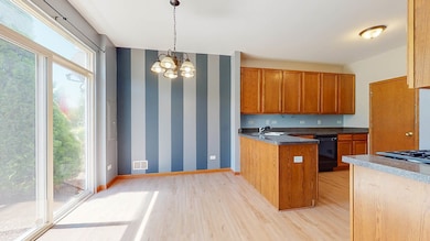 5018 Elmira Ct unit 3, Plainfield, IL 60586 - photo 5