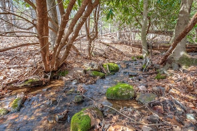 TBDLOT9 N Sunset Ln, Bland, VA 24315 - photo 3