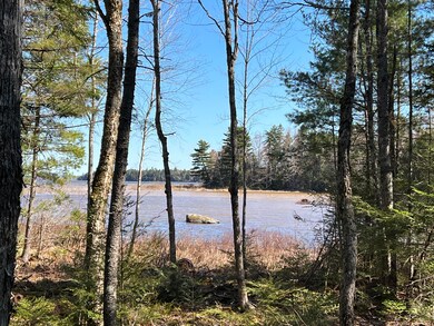 IMG-6634