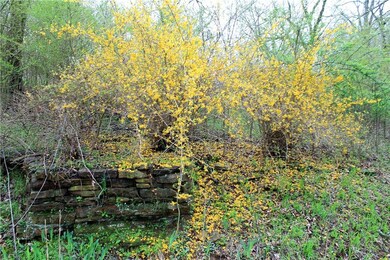 18740 S Highway 71, Winslow, AR 72959 - photo 5