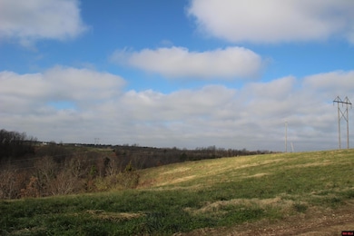 413 Impulse Ln, Yellville, AR 72687 - photo 3