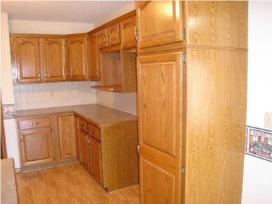 Plenty of cabinets with fantastic pantry