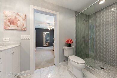 257 N Berteau Ave, Elmhurst, IL 60126 - photo 5