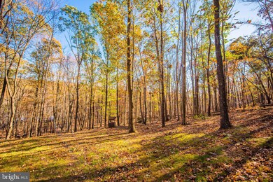 359 Leisure Ln, Berkeley Springs, WV 25411 - photo 4