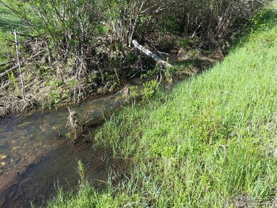Stream