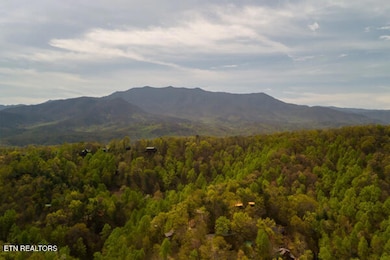 2415 N School House Gap Rd, Sevierville, TN 37876 - photo 3