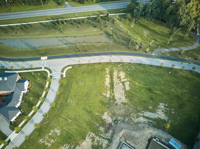 Ox 7:8 to park drone