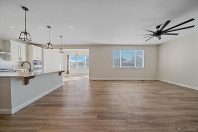 6490 Coldwater Dr, Parker, CO 80134 - photo 4