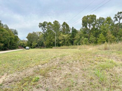 5317 Highway 3, Sarah, MS 38665 - photo 3