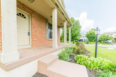 94 Purple Finch-36